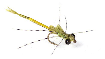 Guideline Ultra Damsel Variant #12