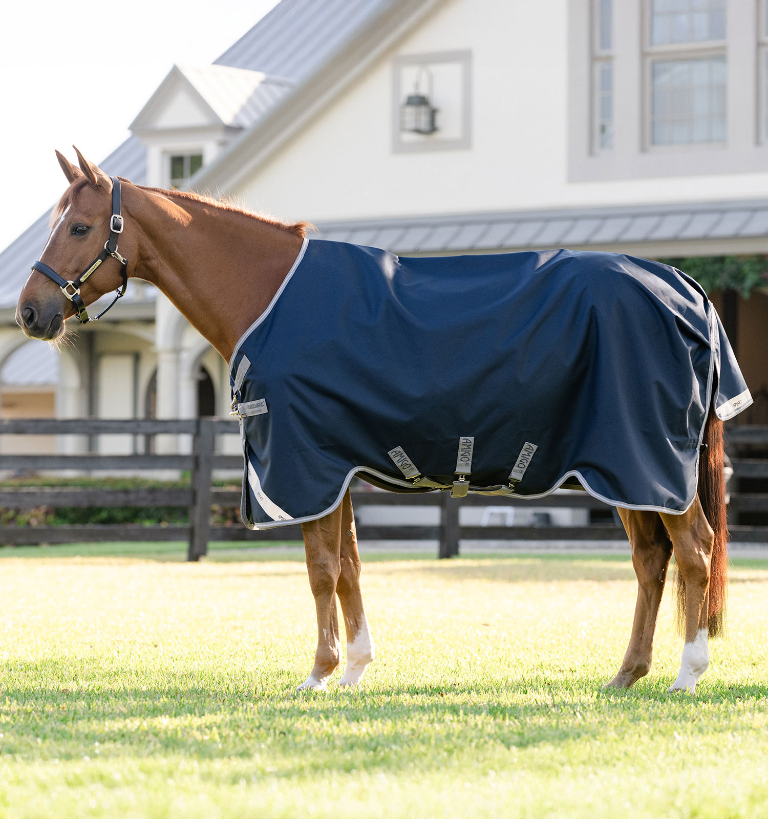 Horseware Amigo 1200D Sadeloimi 250 G - Laivastonsininen