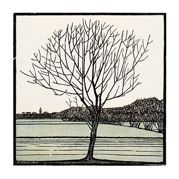 Julie de Graag - Bald Tree - Poster