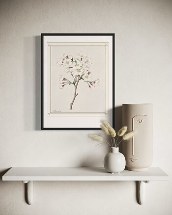 Tsunoi - Cherry Blossom - Poster