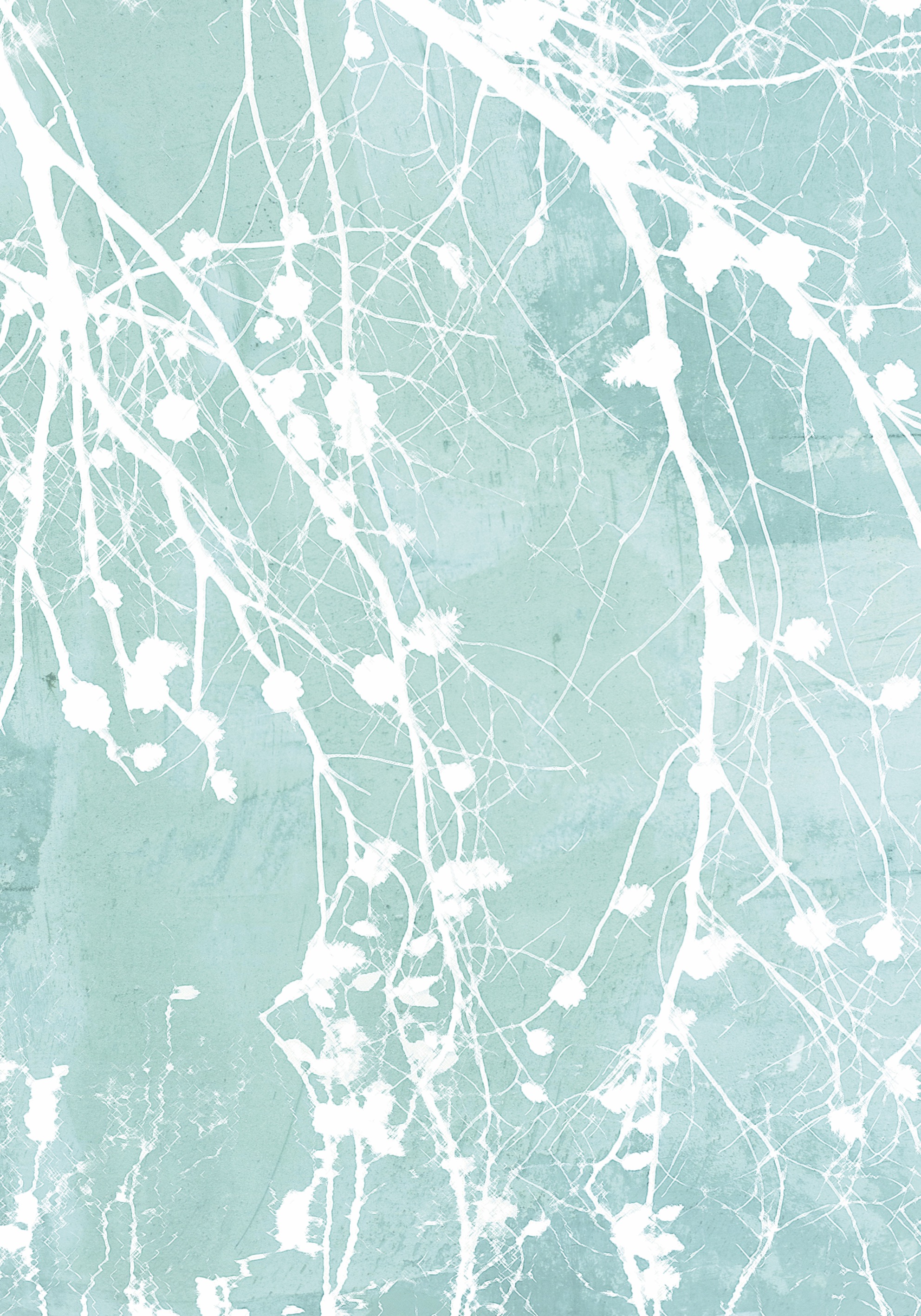 Soft Invert  - Poster - 2