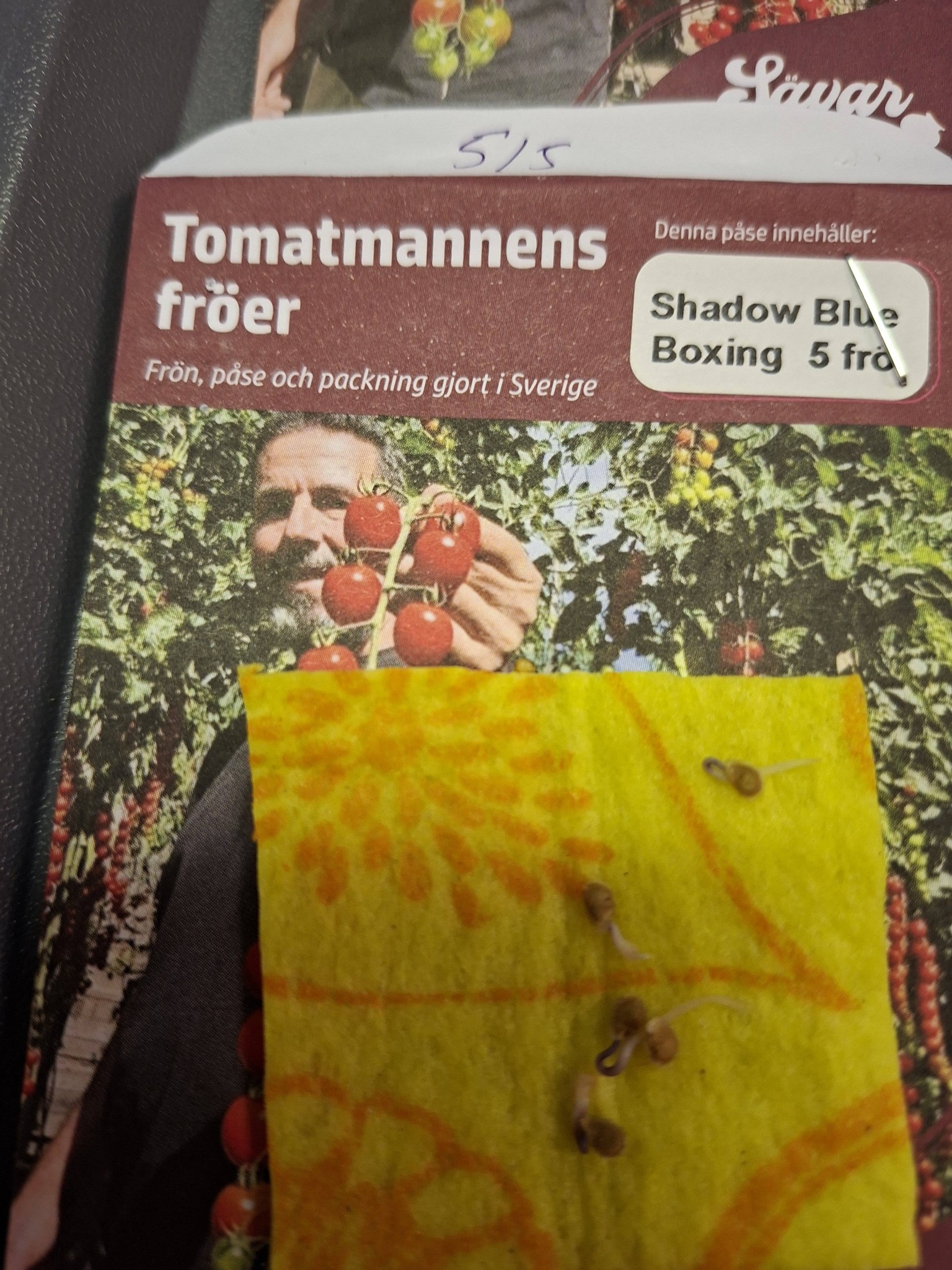 Tomatmannens Tomat Blue Boxing Shadow  5  frö  Nyhet 2026! - 2