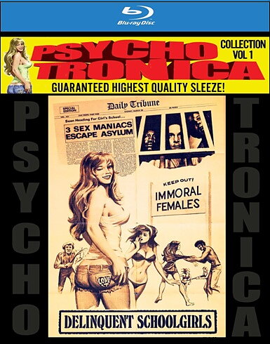 Psychotronica: Collection Vol. 1 - Delinquent Schoolgirls (BLU-RAY + DVD)