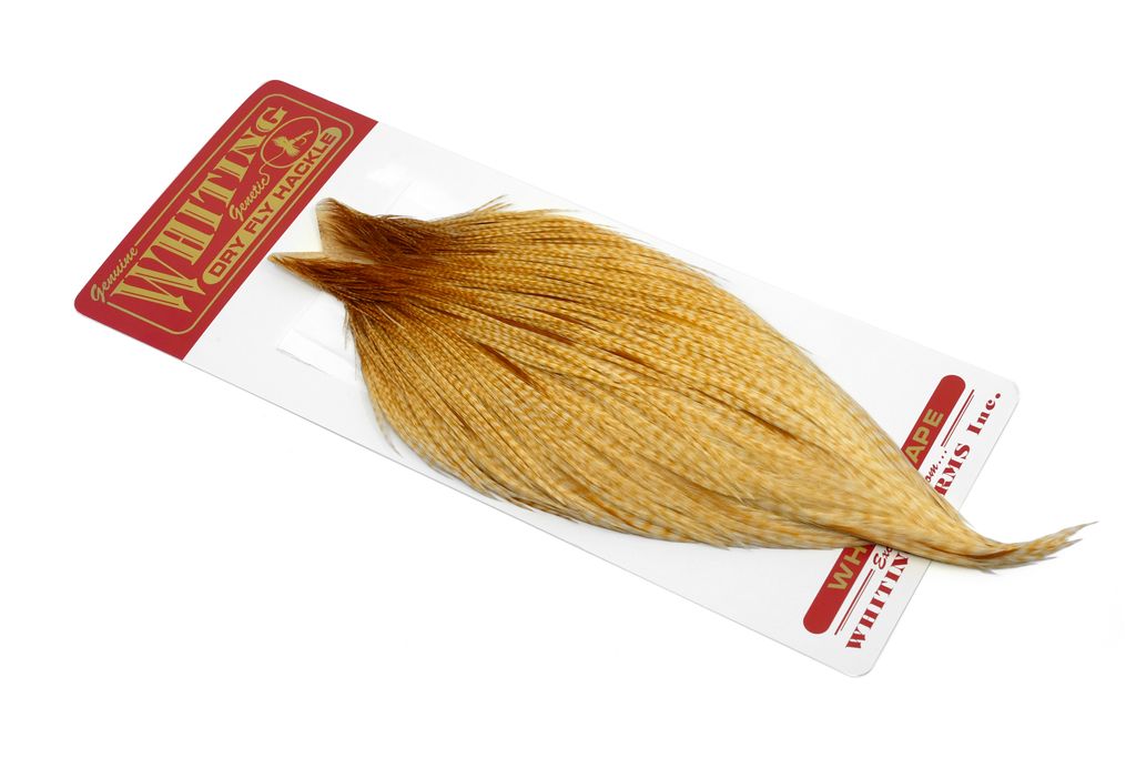 Whiting Commercial Cape  - 6