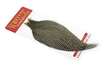Whiting Commercial Cape 