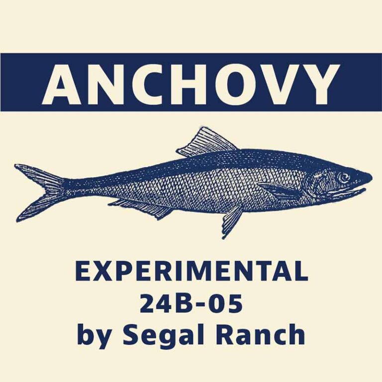Anchovy pellets 2025, 5 kg - 2