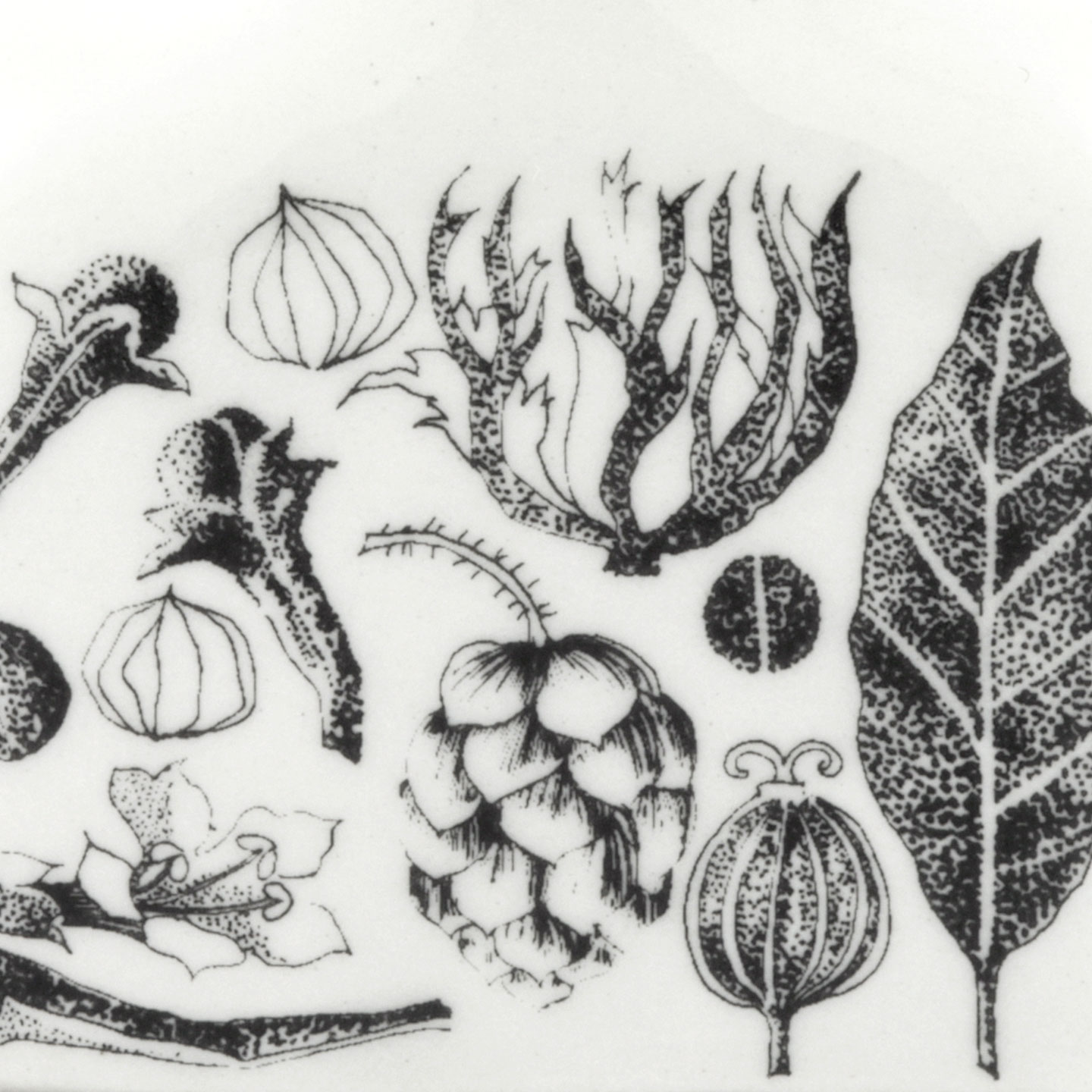 Esteri Tomula（エステリ・トムラ）～アラビア製の陶磁器