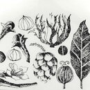 Esteri Tomula (Maustekuvio 1968) Spice Jar Curry with Plant Decor 9 cm