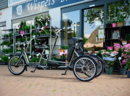 Nindo Too - Trehjulig tandem-cykel, vuxen + barn - Fotbroms - 4