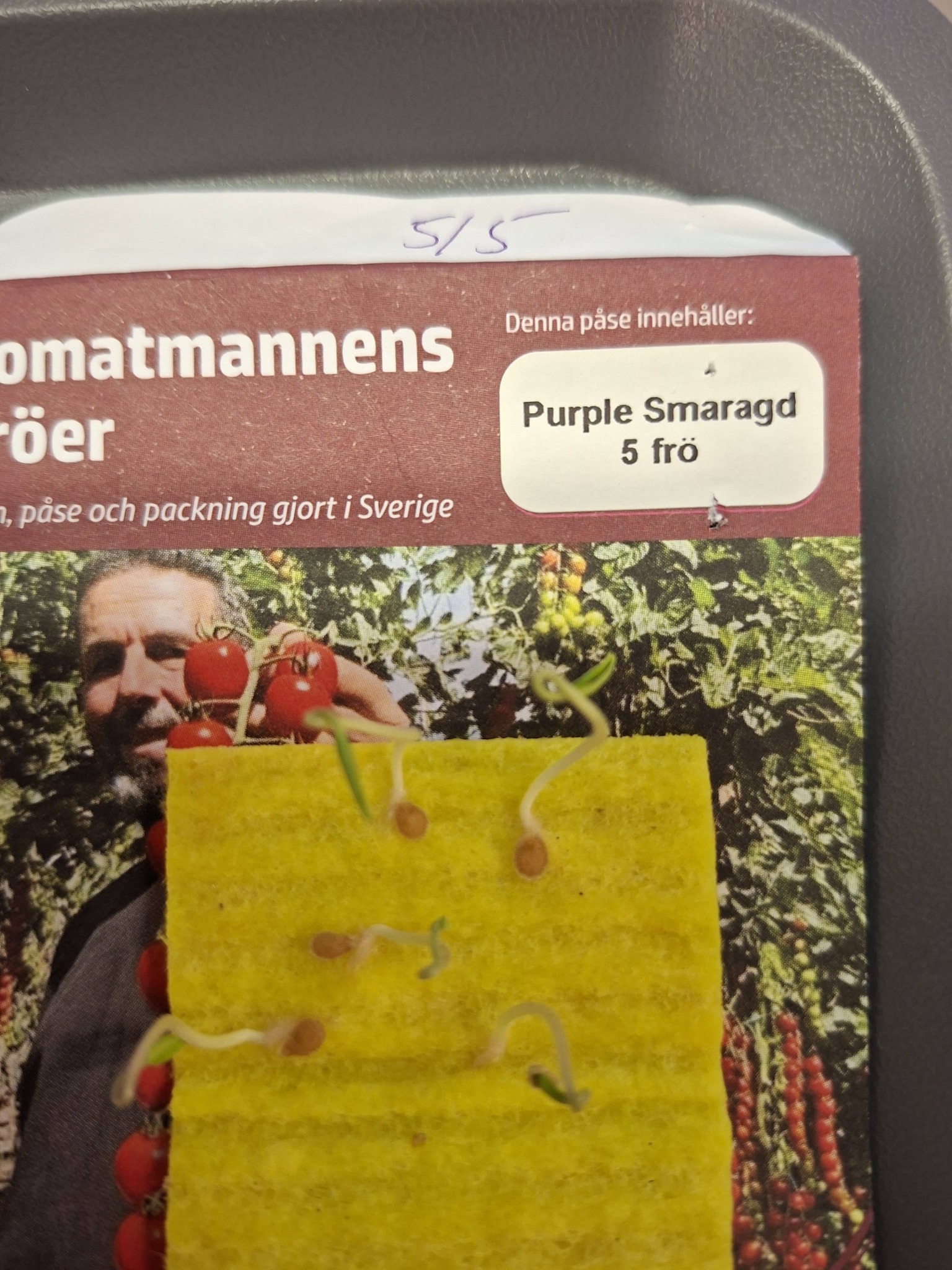 Tomatmannens Tomat Purple Smaragd, 5 frö Nyhet 2026! - 3