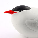 ポール・ホフ  Arktis(北極)シリーズ   アジサシ  Sea-Swallow  22/9cm  1980年代 〈早期生産〉 (2)