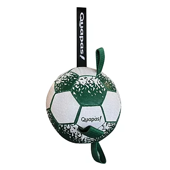 Quapas soccerball fotboll till hunden