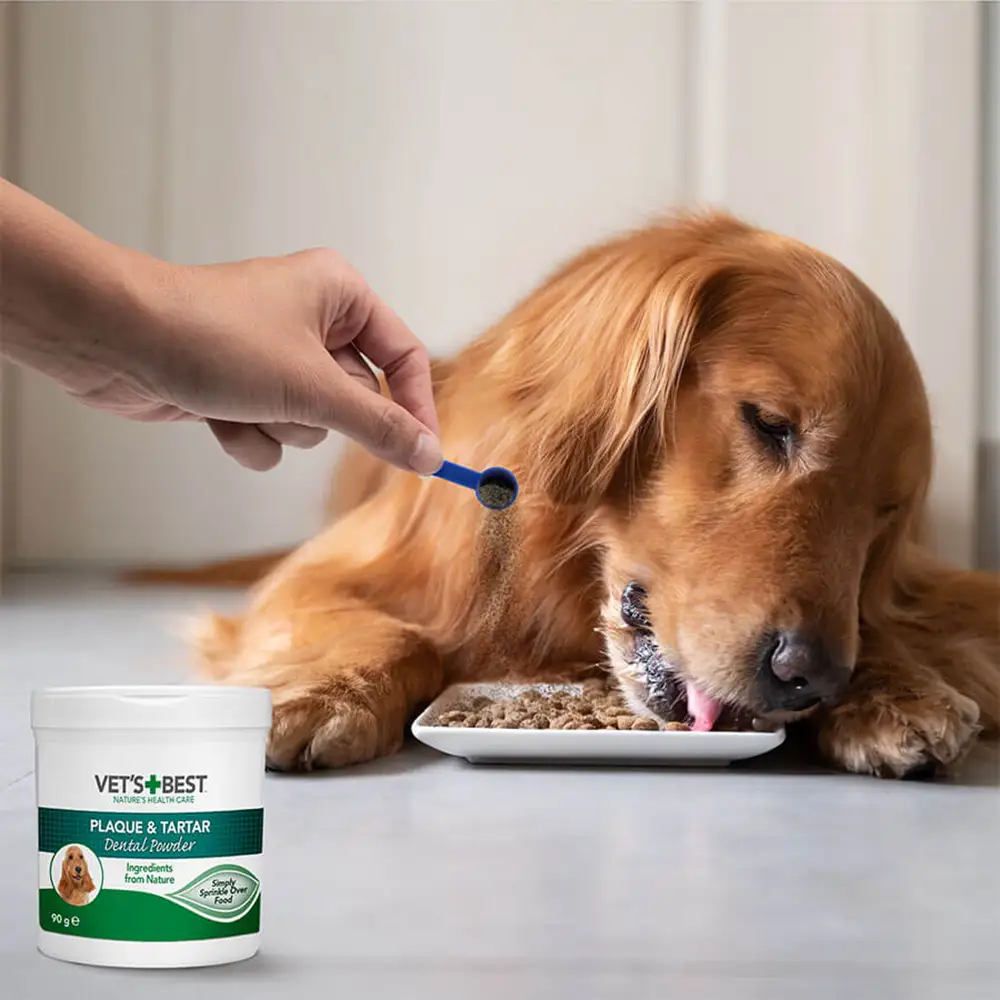 Natural powder to reduce tartar and bad breath in dogs Vets Best Dental Powder
