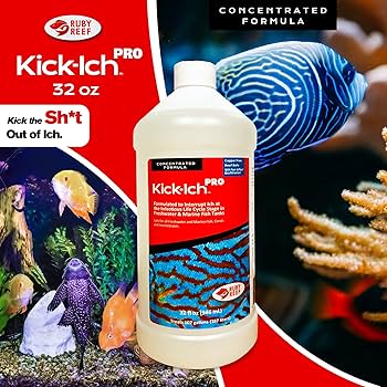 Ruby Reef Kick-Ich PRO