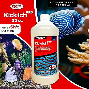 Ruby Reef Kick-Ich PRO
