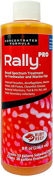 Ruby Reef Rally PRO
