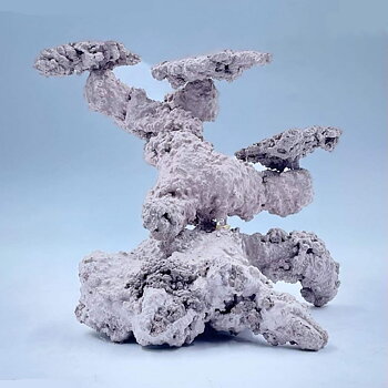 ARTREEF rocks S