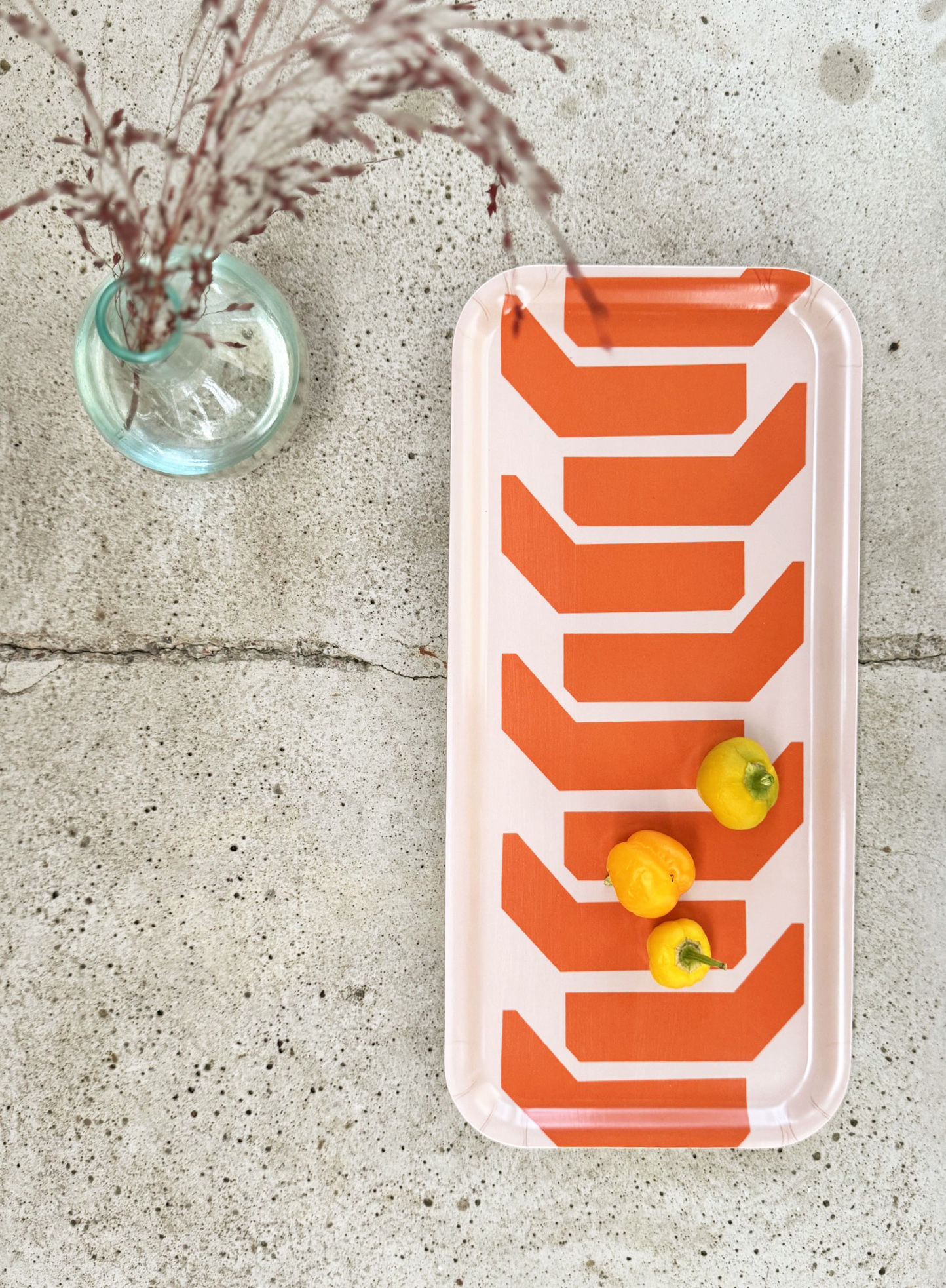 TRAY  / Snowcat in orange