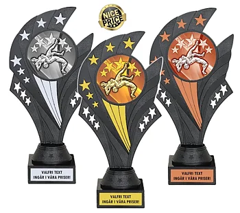 Pokal Black Nova Brottning, inklusive gravyr!