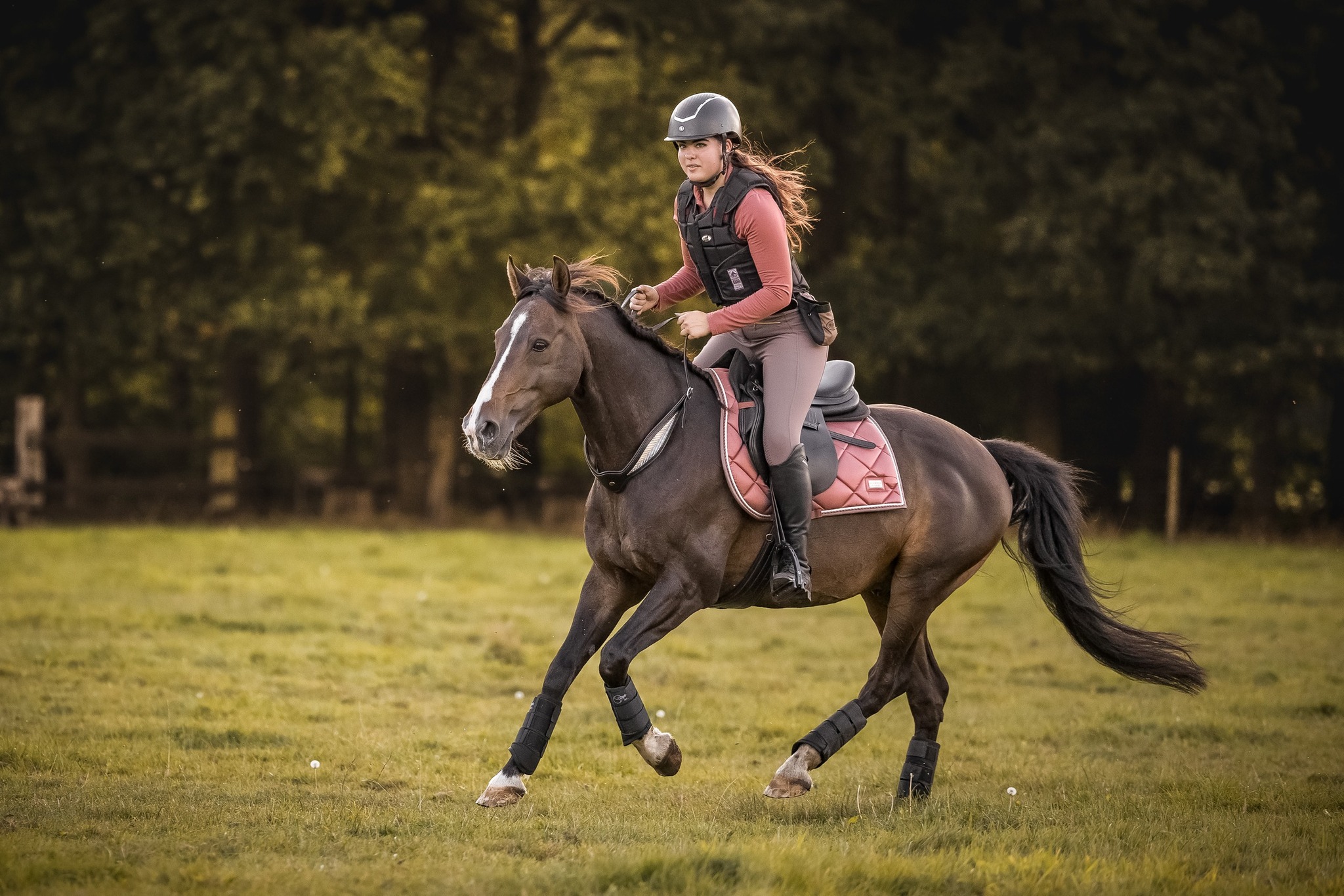 Balance Rein / neck ring / cordeo, F.R.A® 'Whisper' - 5
