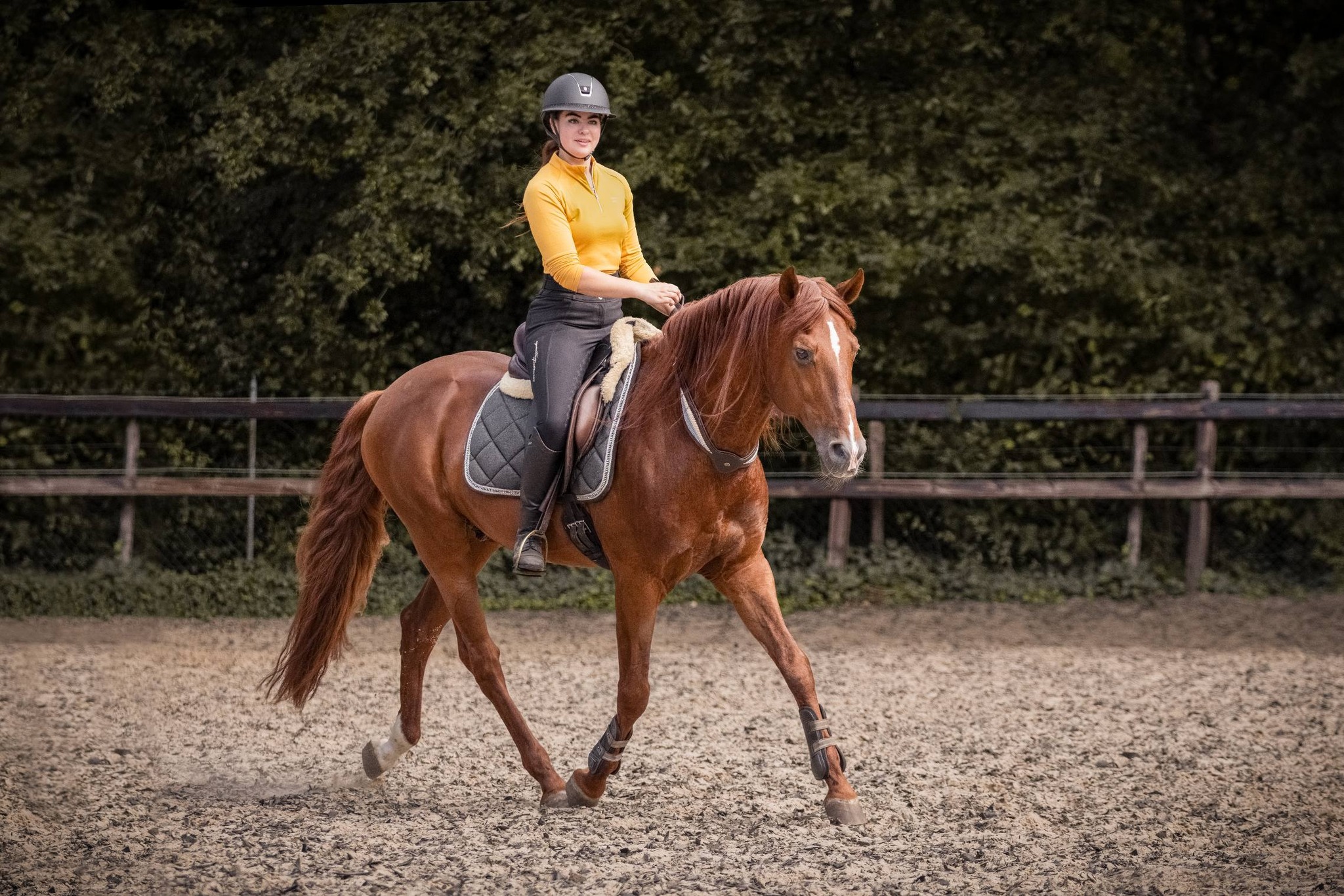 Balance Rein / neck ring / cordeo, F.R.A® 'Whisper' - 10