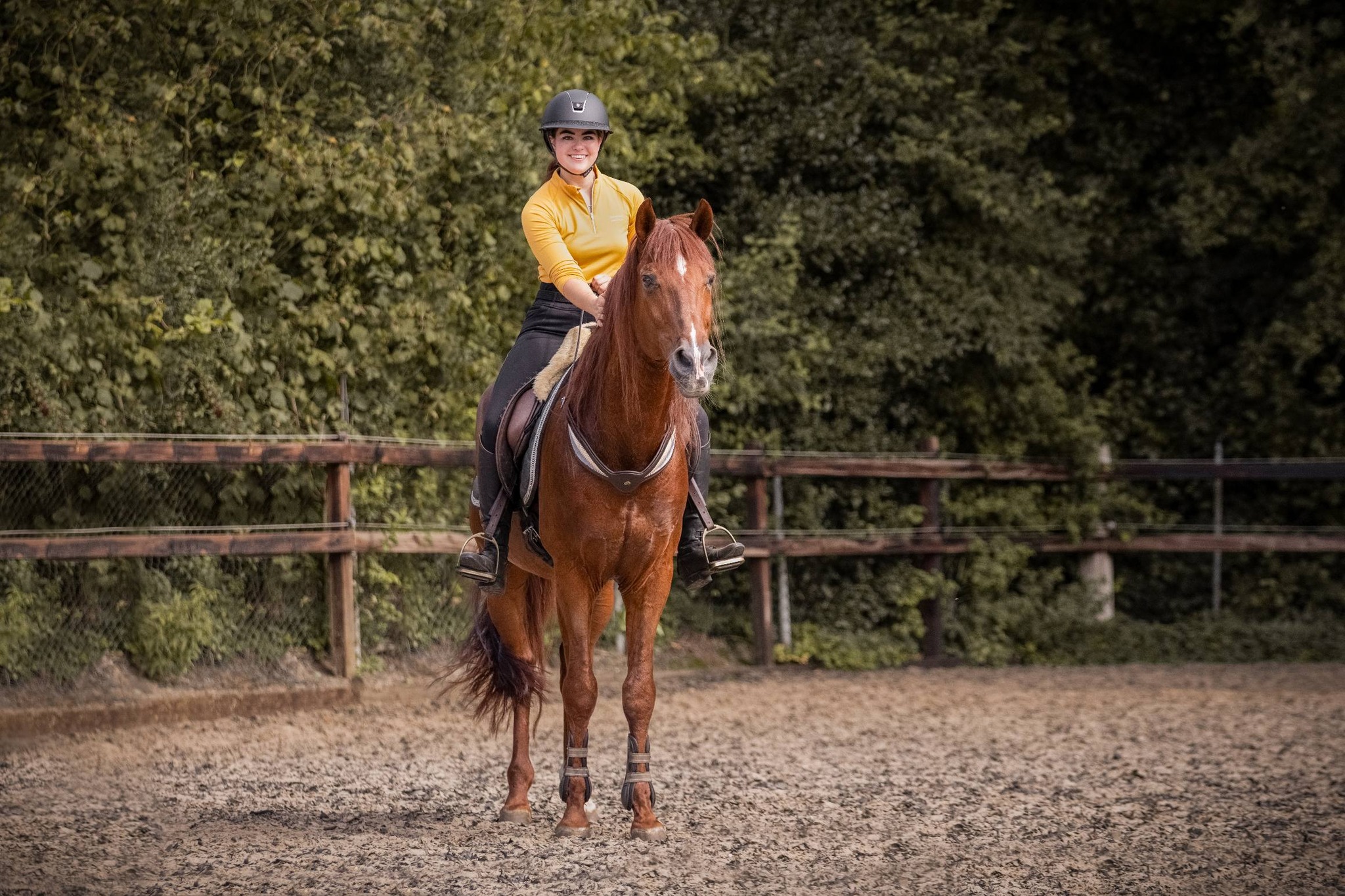 Balance Rein / neck ring / cordeo, F.R.A® 'Whisper' - 9