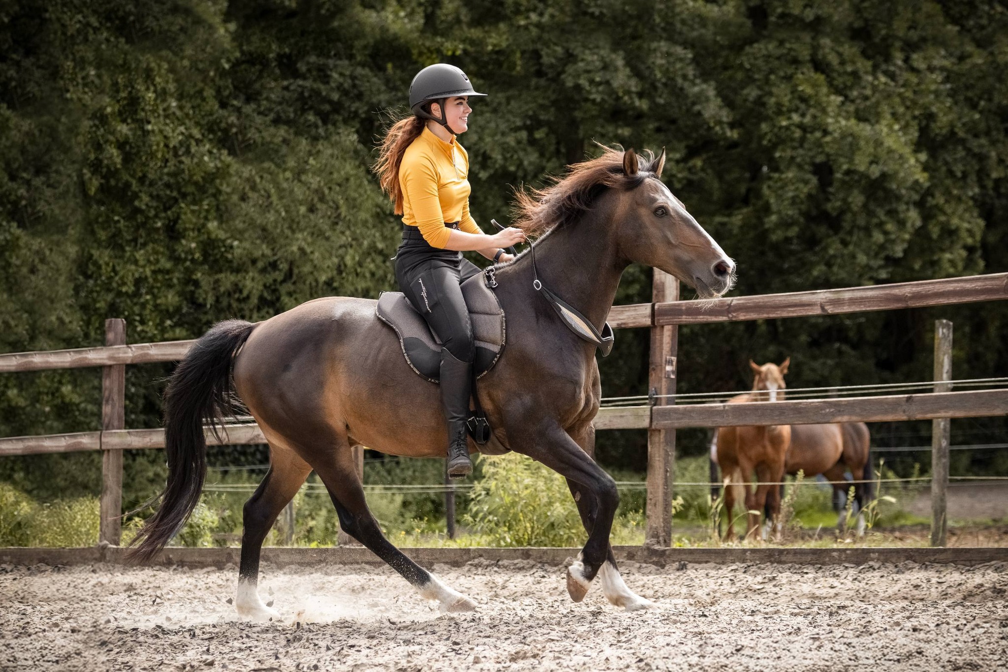 Balance Rein / neck ring / cordeo, F.R.A® 'Whisper' - 12