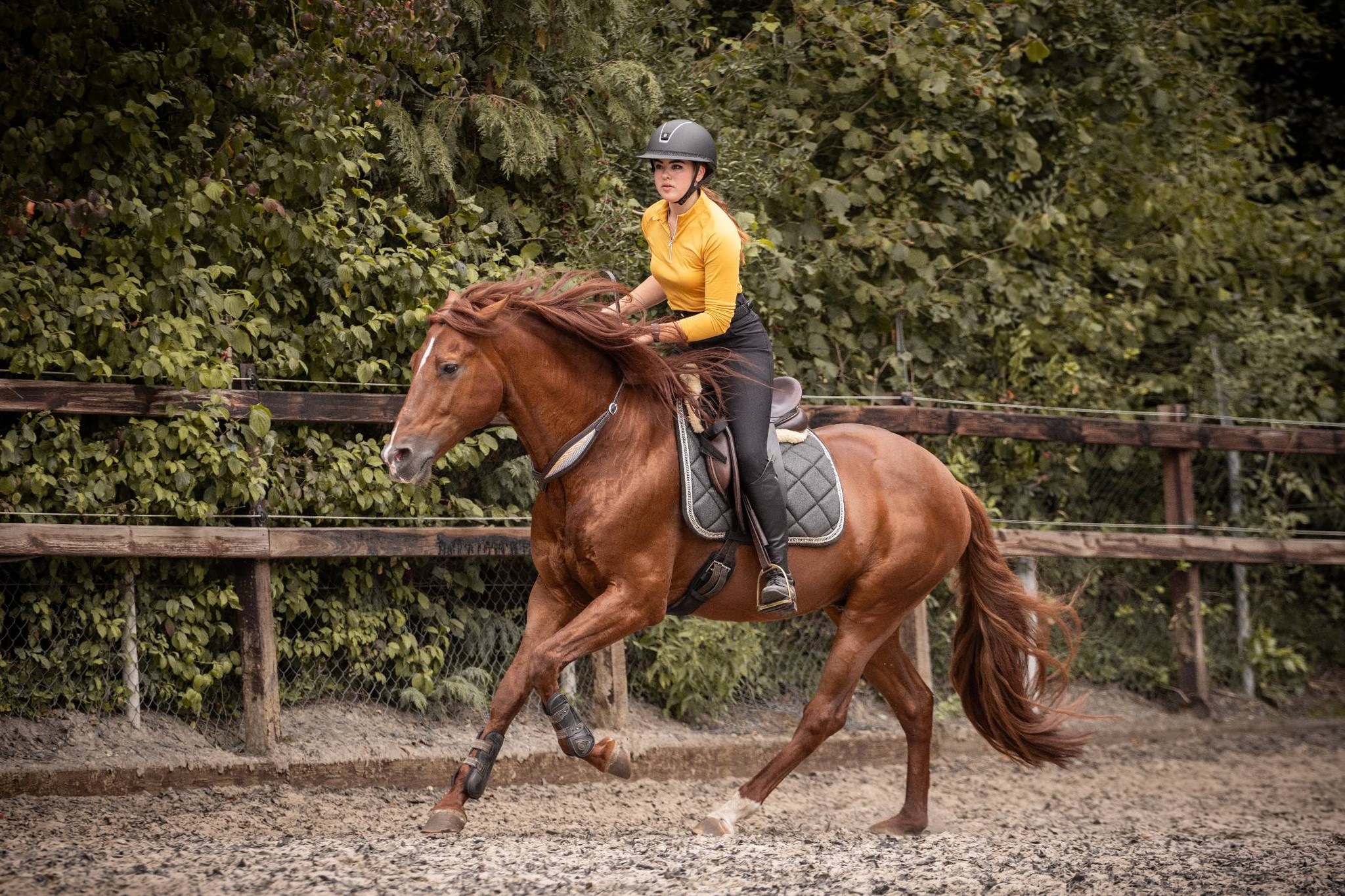 Balance Rein / neck ring / cordeo, F.R.A® 'Whisper' - 8