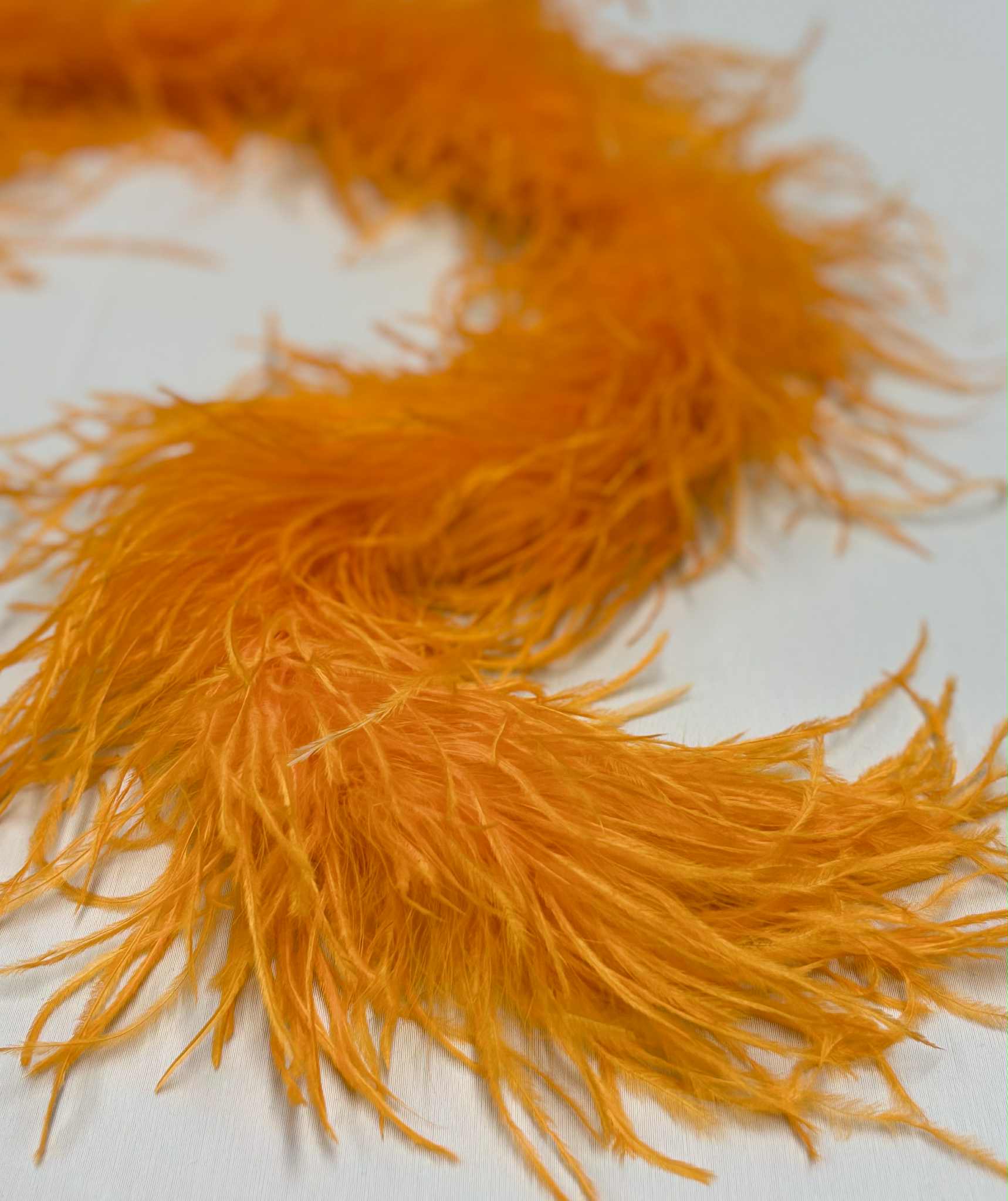 BOA - orange - 2