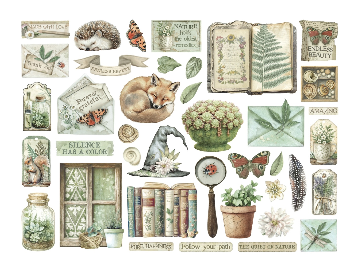 Stamperia Herbarium Silvae Die Cuts  - 2