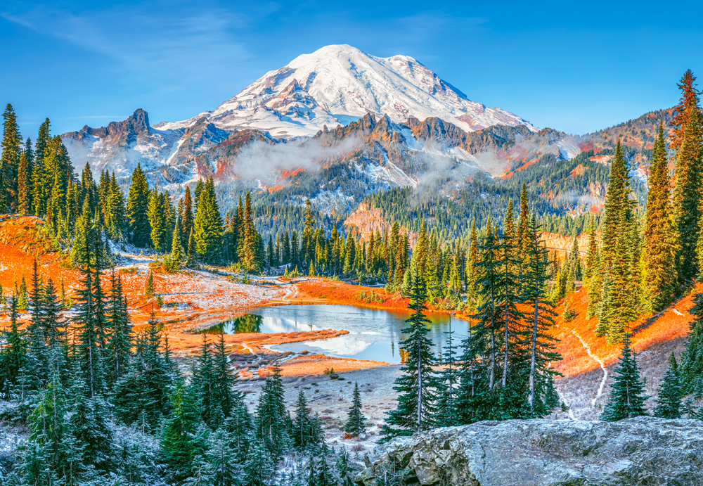 Mount Rainier National Park USA, puslespil med 1000 brikker (C-105496)