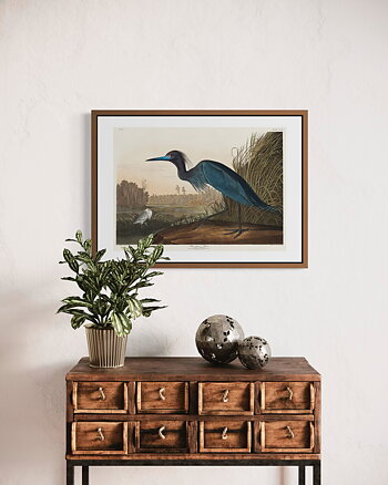 John James Audubon - Blue Heron - Poster