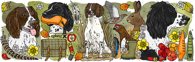 Emaljmugg - Engelsk springer spaniel - 2