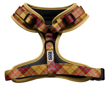 Designsele: Mary Queen of Scots