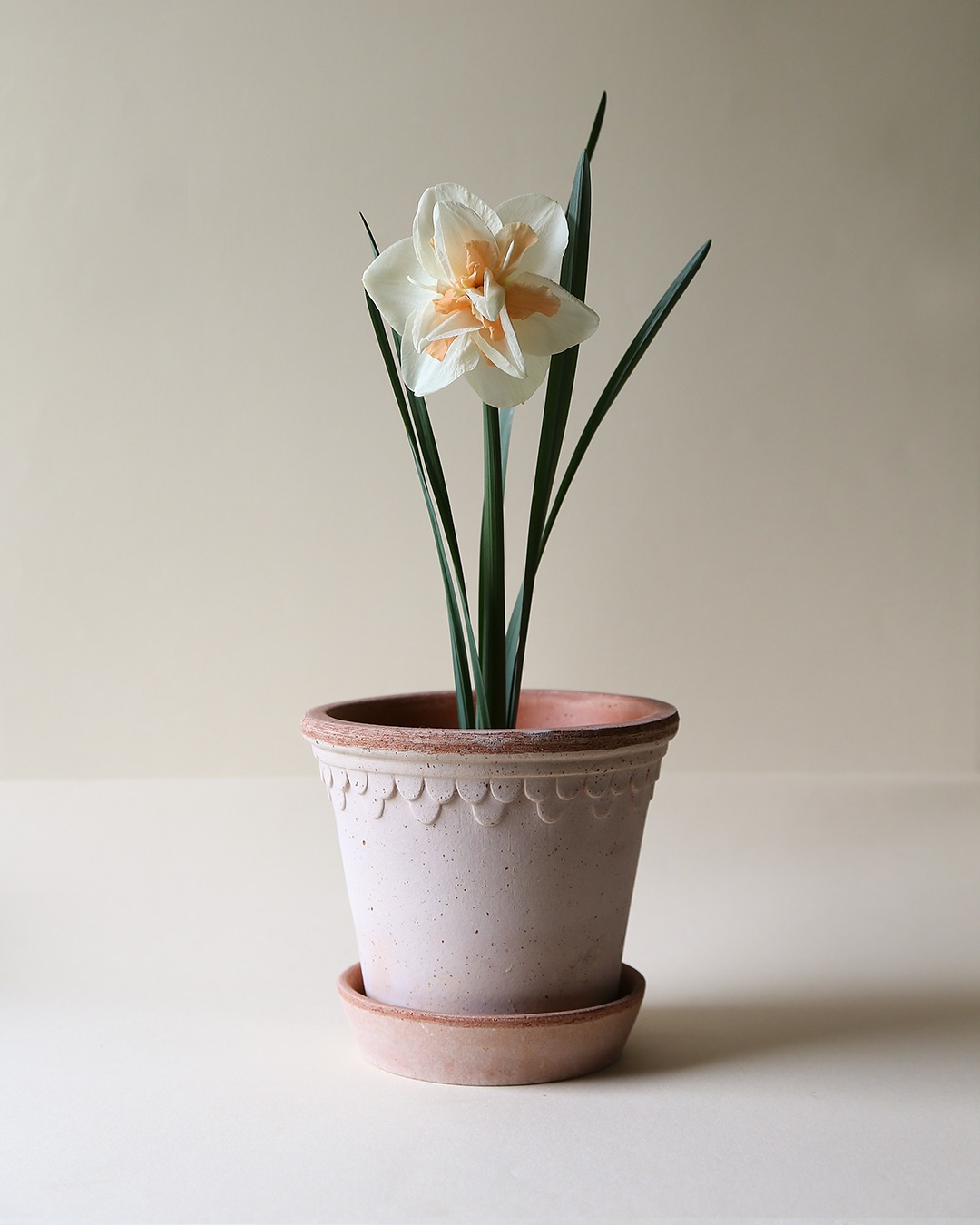 Bergs Potter Copenhagen Pot 12 cm - Rustic Terracotta - 2