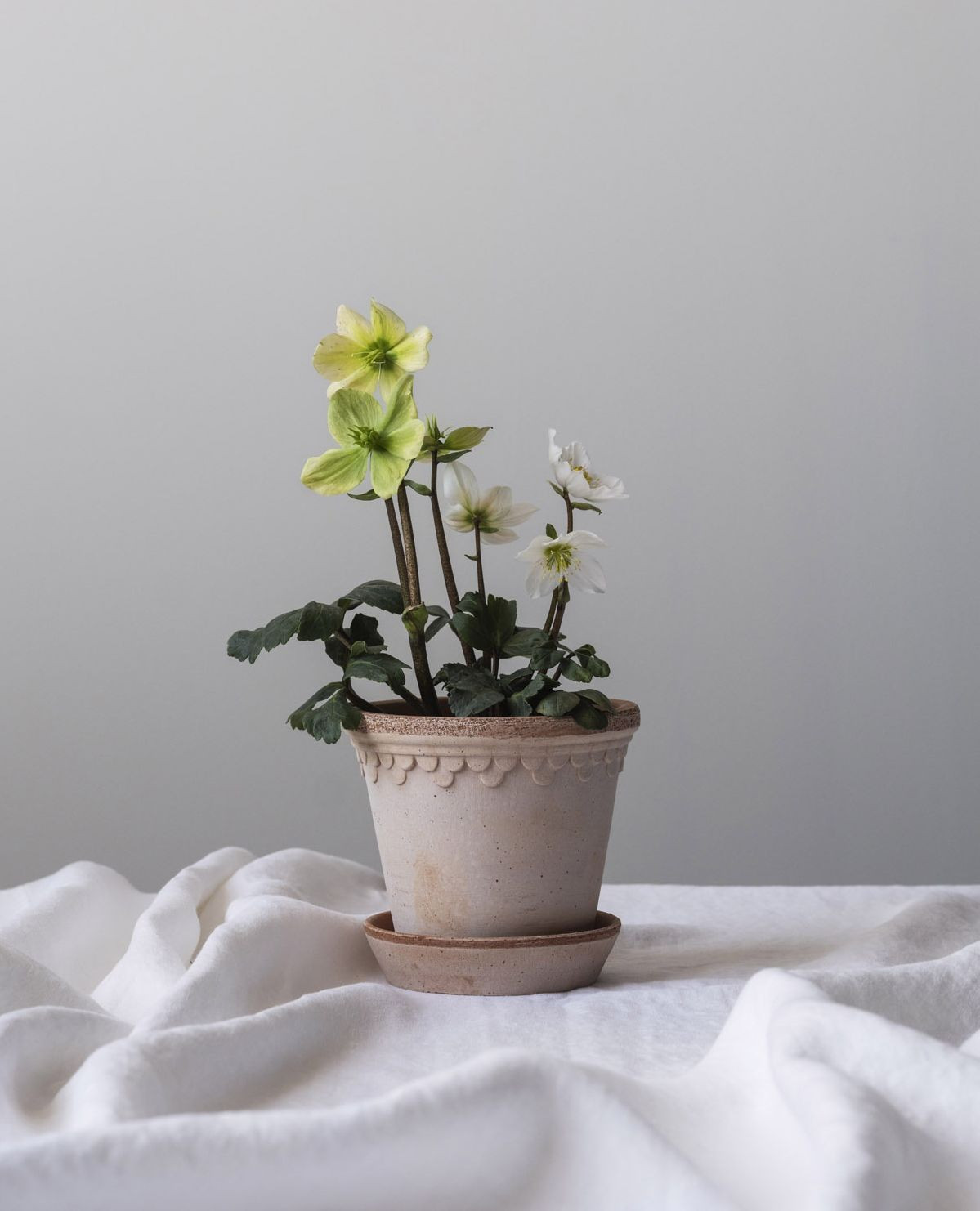 Bergs Potter Copenhagen Pot 12 cm - Rustic Terracotta - 4