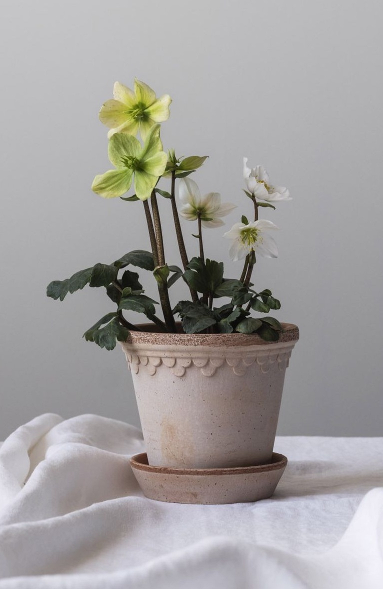 Bergs Potter Copenhagen Pot Ø18 cm - Rustic Terracotta