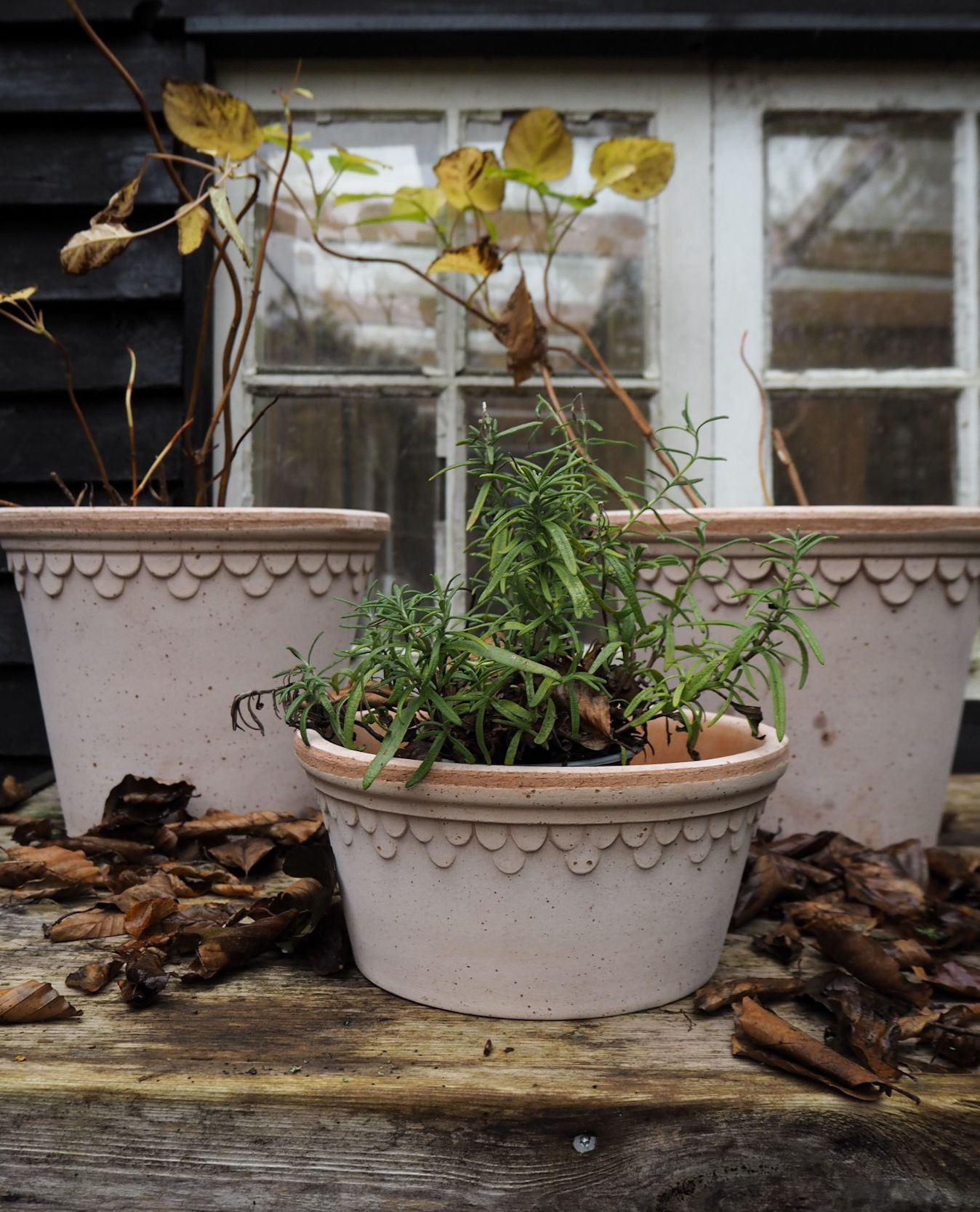 Pot with saucer - Copenhagen Low Light - Bergs Potter - Rustic Terracotta - 2