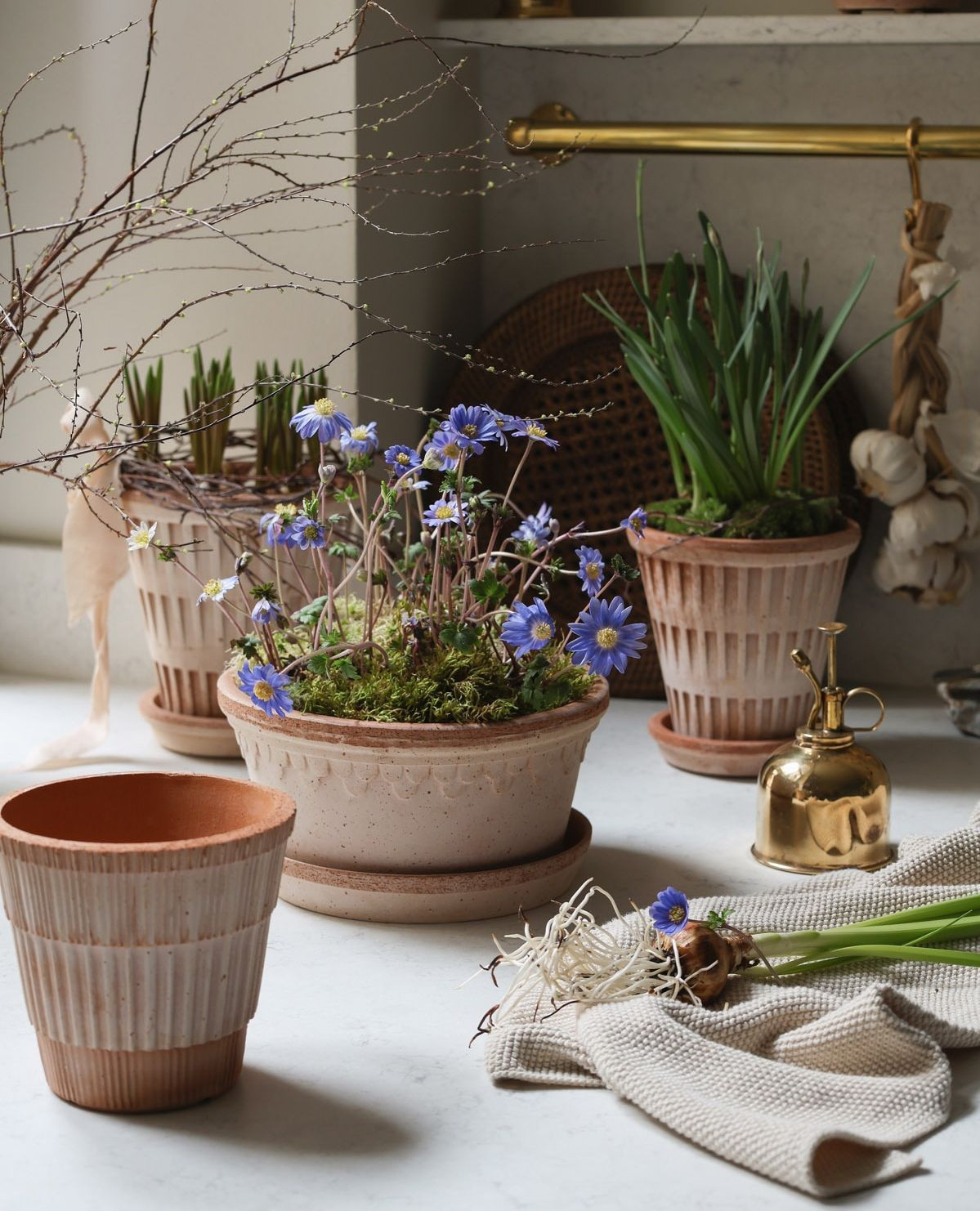 Pot with saucer - Copenhagen Low Light - Bergs Potter - Rustic Terracotta - 16