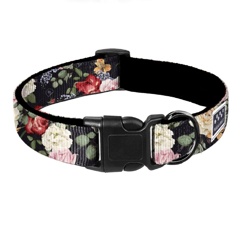 Designhalsband: Linné