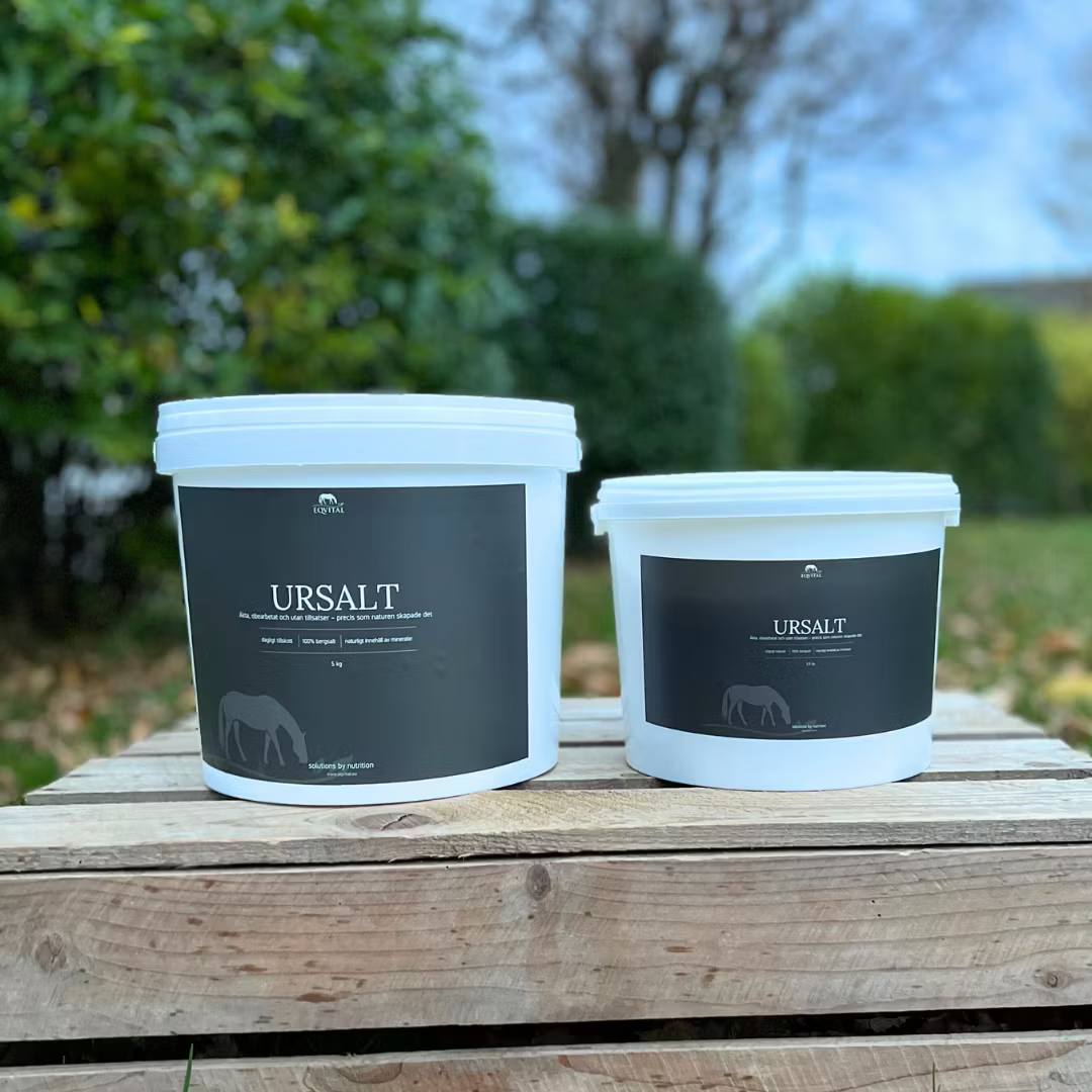 URSALT