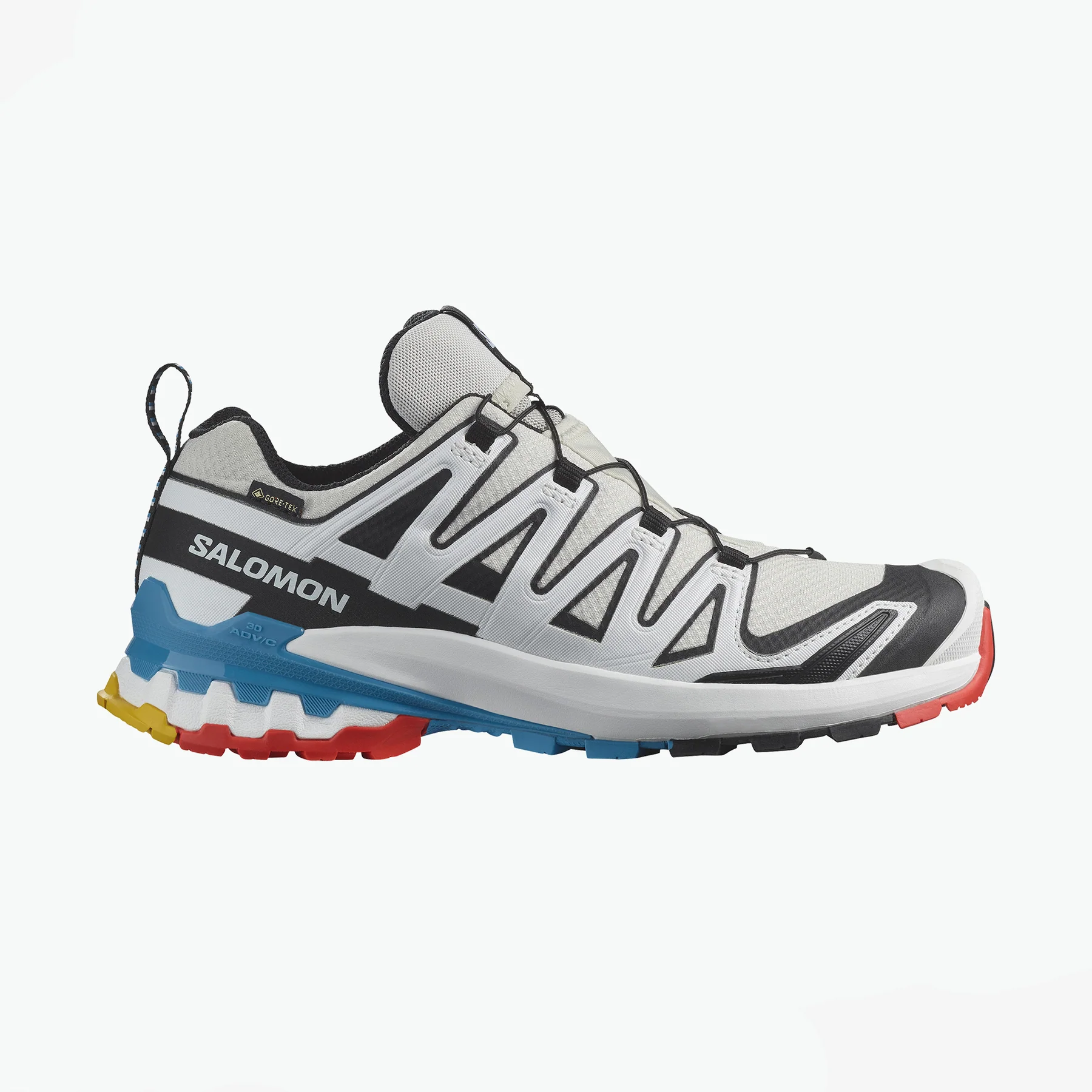 Salomon XA Pro 3D V9 GTX W - 3