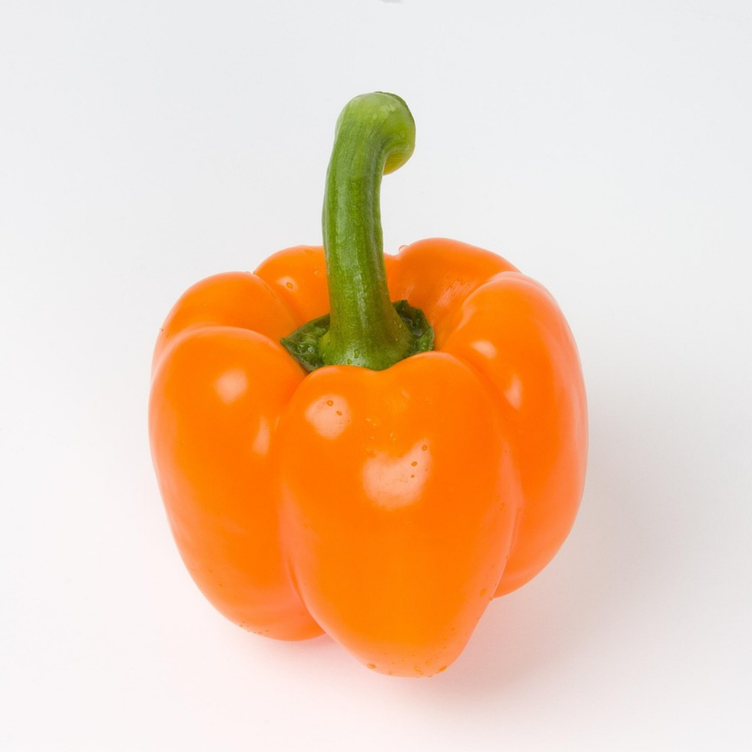 Paprika - Orange Horizon