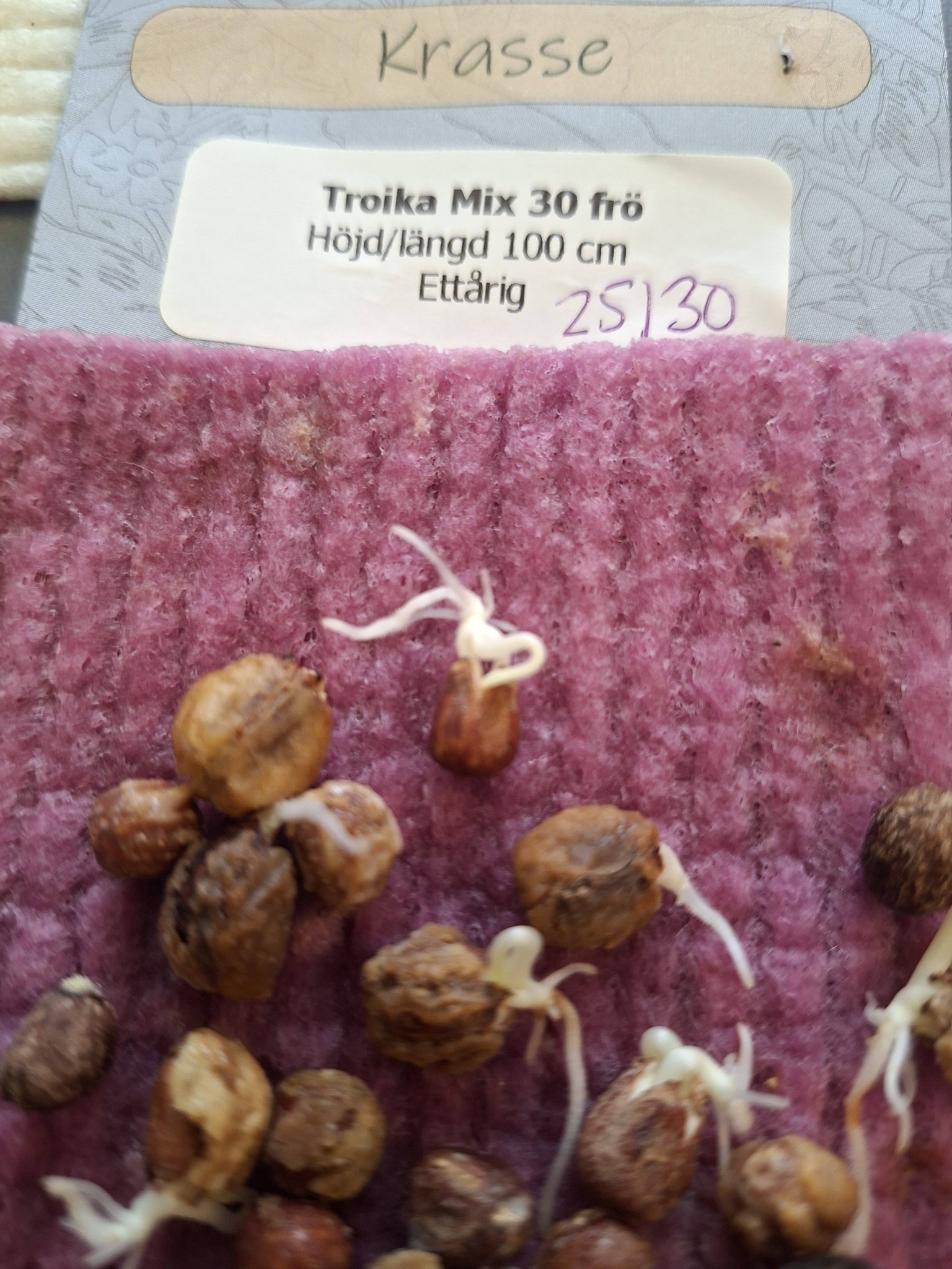 Krasse Troika Mix  30  frö - 2