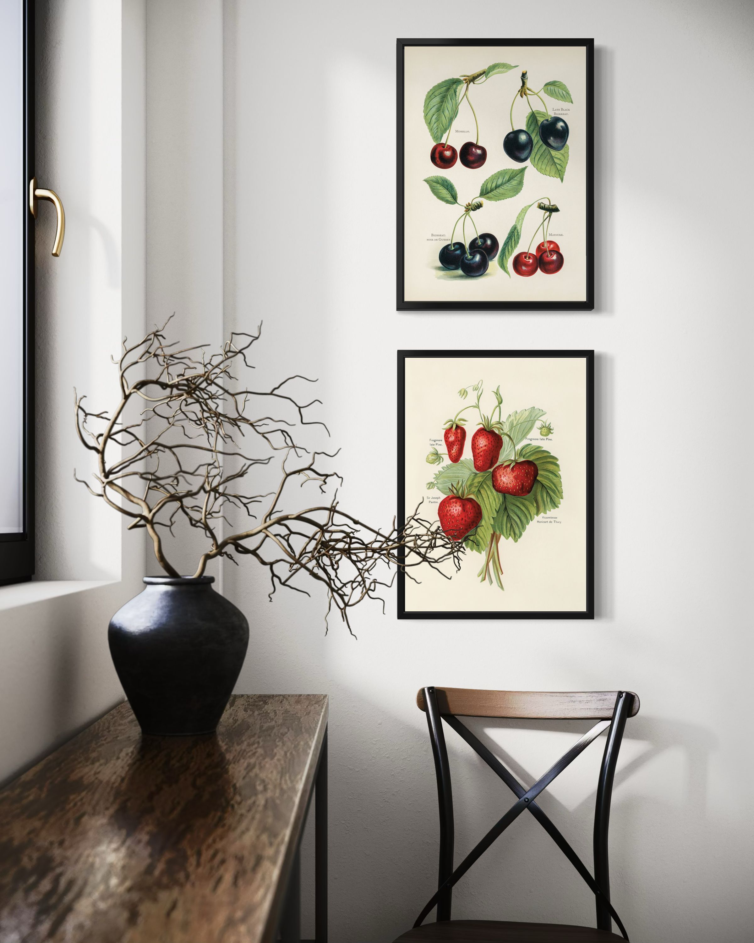 Cherries - Fruit Growers Guide - Poster - 3