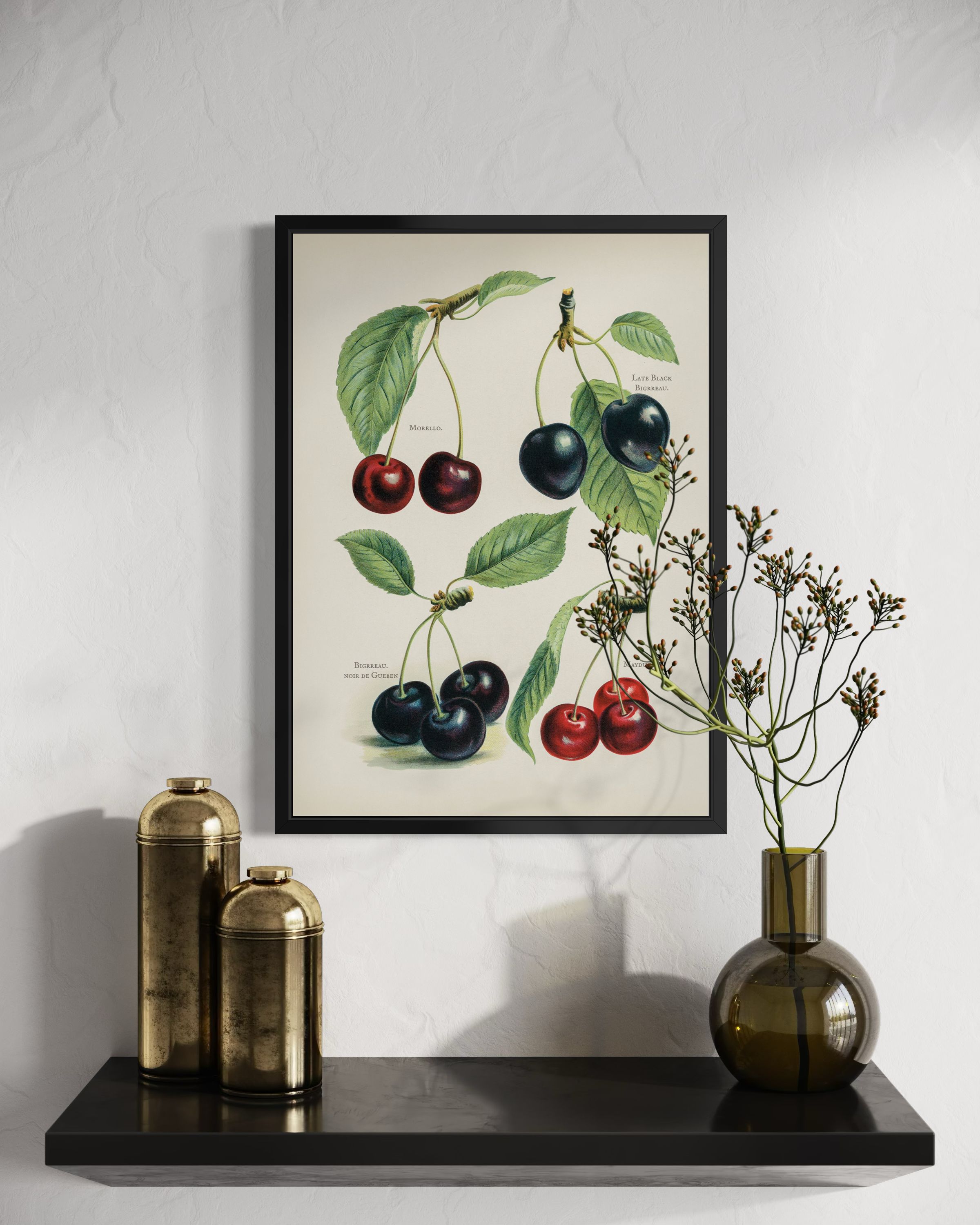 Cherries - Fruit Growers Guide - Poster