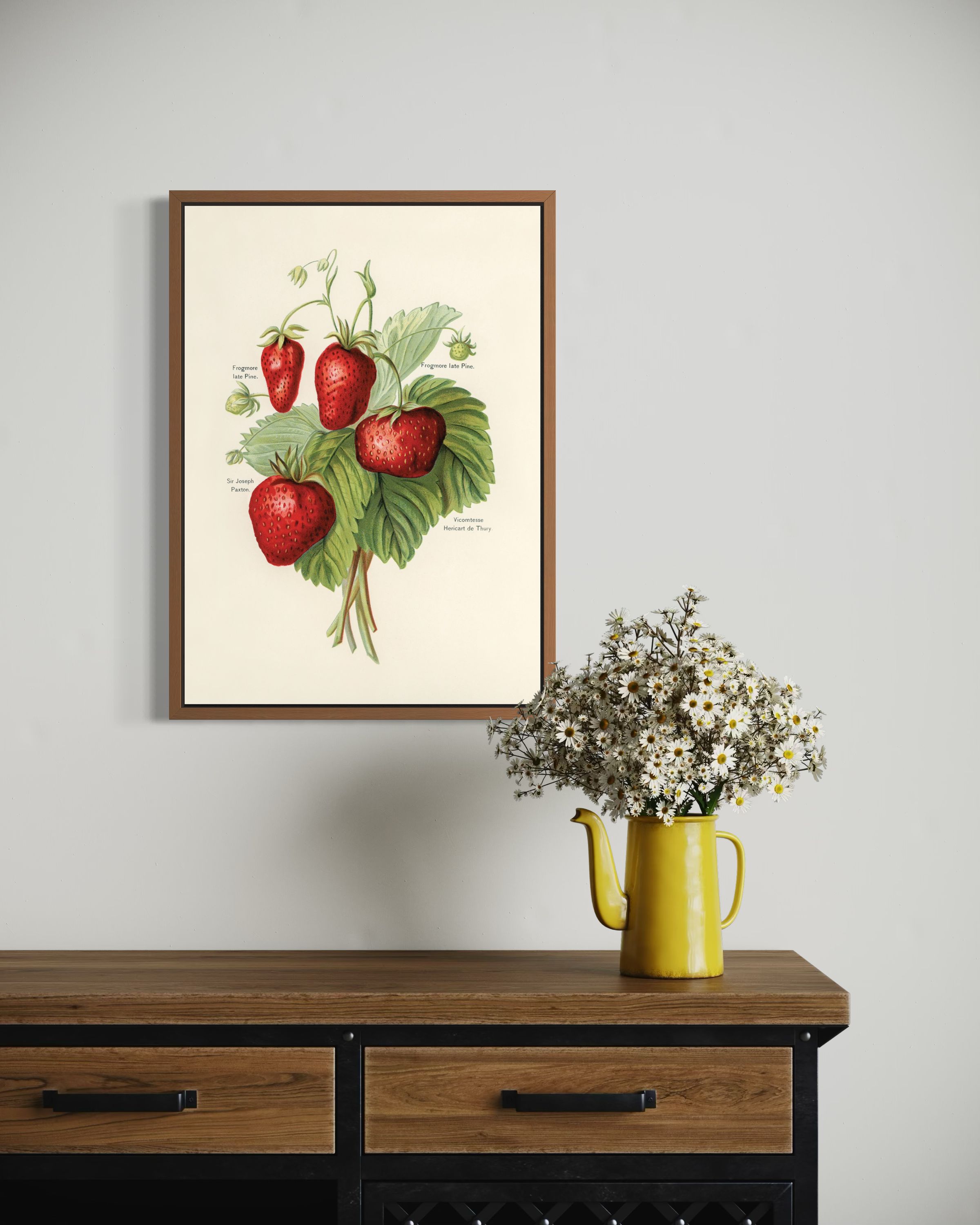Strawberries - Fruit Growers Guide - Poster