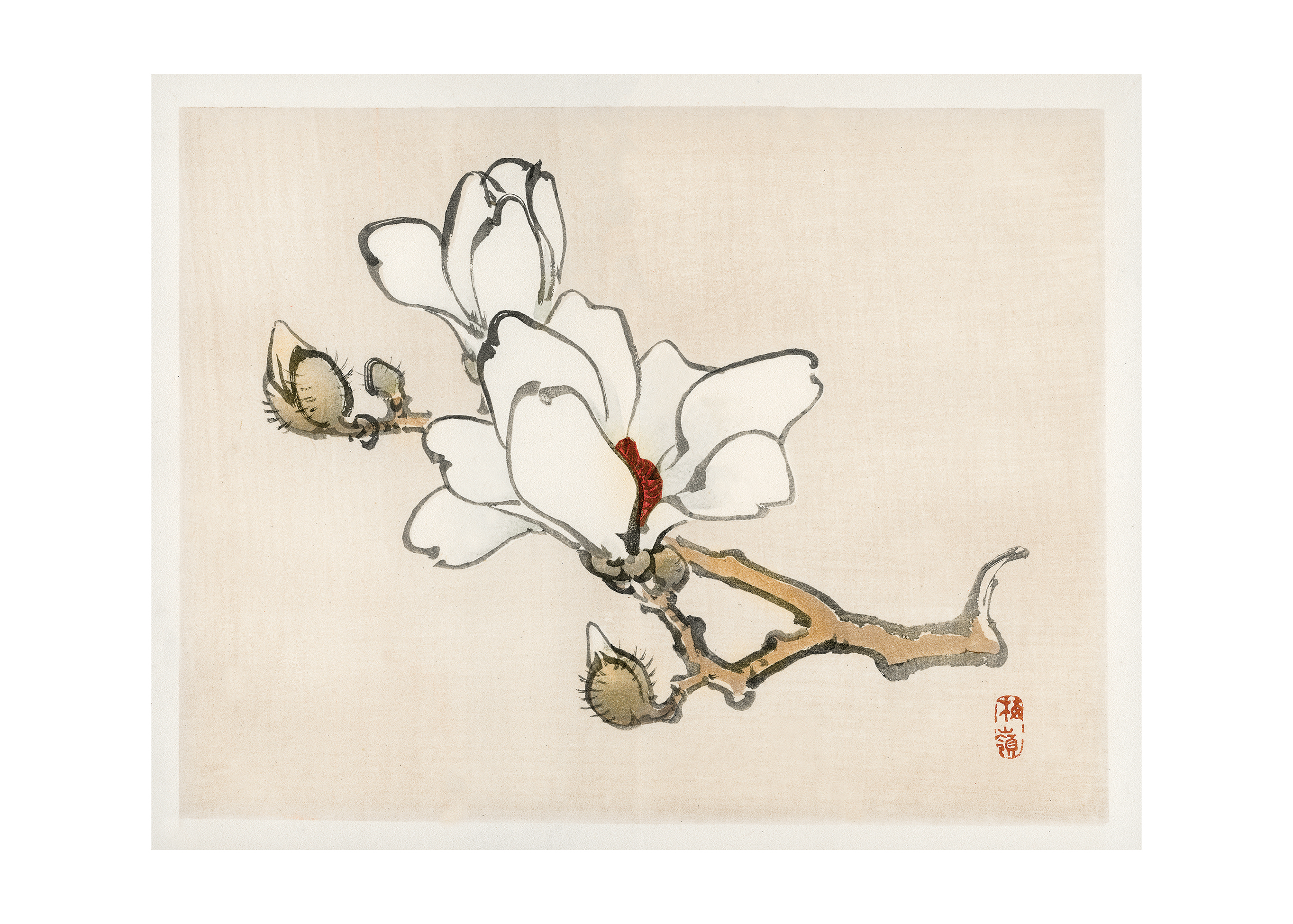 Kono Bairei - Magnolia Blossom - Poster - 2