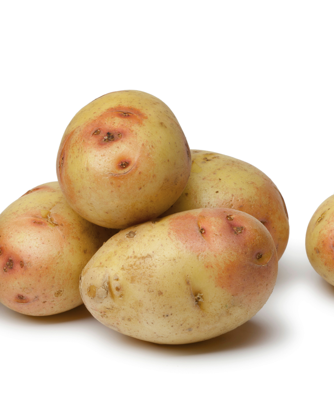 EKO Sättpotatis - Carolus 2kg