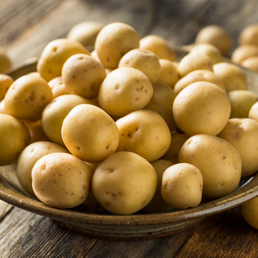 Sättpotatis - Jule 1kg